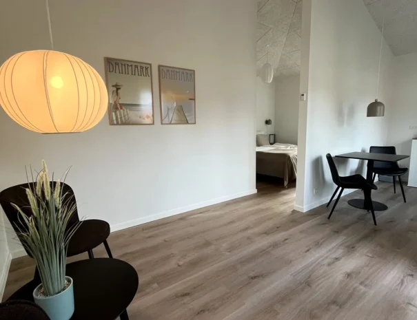 Remisen1rundlampe
